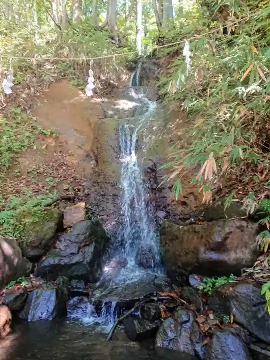 戸隠神社中社の自然