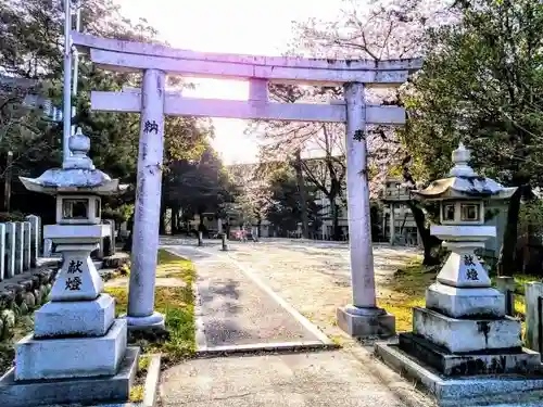 八幡社（姫島八幡社）の鳥居