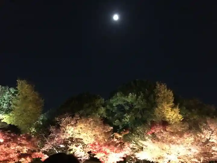 東寺(教王護国寺)(京都府)