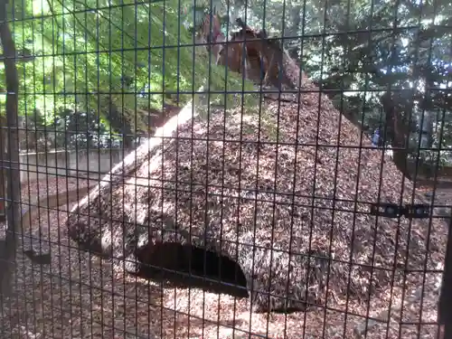 代々木八幡宮(東京都)
