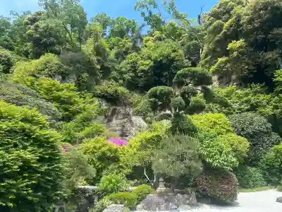 報国寺の{uncategorized: "未分類", other: "その他", undefined: "問題あり", building: "その他建物", grave: "お墓", sacred_gate: "鳥居", guardian: "狛犬", statue: "像", buddha: "仏像", history: "歴史", nature: "自然", garden: "庭園", animal: "動物", pagoda: "塔", temizu: "手水舎", mountain_gate: "山門・神門", sanctuary: "本殿・本堂", subordinate: "末社・摂社", art: "芸術", scenery: "景色", jizo: "地蔵", ema: "絵馬", goshuin: "御朱印", omikuji: "おみくじ", items: "授与品その他", amulet: "お守り", goshuincho: "御朱印帳", eats: "食事", festival: "お祭り", votive_dance: "神楽", shichigosan: "七五三参", wedding: "結婚式", experience: "体験その他", initially: "初詣", around: "周辺", anti_infection: "感染症対策"}