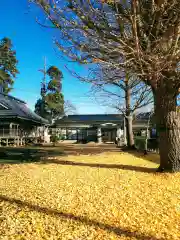 白山神社の自然