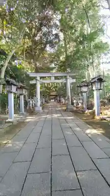 駒木諏訪神社(千葉県)