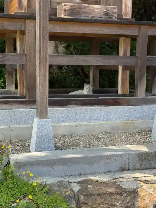 西坂ねこ稲荷神社(福島県)
