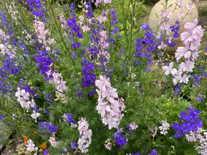 埼玉厄除け開運大師・龍泉寺(切り絵御朱印発祥の寺)の自然
