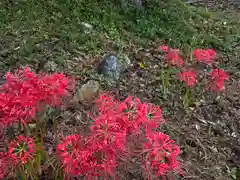 科長神社(大阪府)