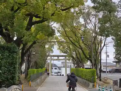 百舌鳥八幡宮(大阪府)