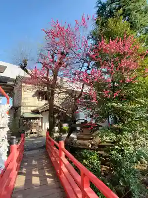 今泉八坂神社(栃木県)