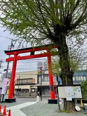 川越熊野神社の{uncategorized: "未分類", other: "その他", undefined: "問題あり", building: "その他建物", grave: "お墓", sacred_gate: "鳥居", guardian: "狛犬", statue: "像", buddha: "仏像", history: "歴史", nature: "自然", garden: "庭園", animal: "動物", pagoda: "塔", temizu: "手水舎", mountain_gate: "山門・神門", sanctuary: "本殿・本堂", subordinate: "末社・摂社", art: "芸術", scenery: "景色", jizo: "地蔵", ema: "絵馬", goshuin: "御朱印", omikuji: "おみくじ", items: "授与品その他", amulet: "お守り", goshuincho: "御朱印帳", eats: "食事", festival: "お祭り", votive_dance: "神楽", shichigosan: "七五三参", wedding: "結婚式", experience: "体験その他", initially: "初詣", around: "周辺", anti_infection: "感染症対策"}