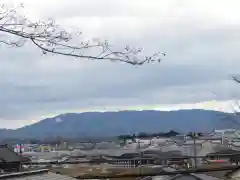 鎌足神社の景色