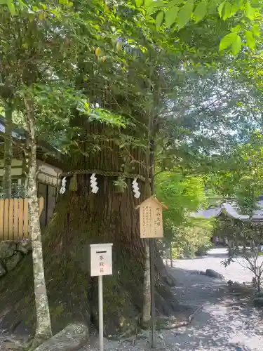 丹生川上神社（中社）(奈良県)