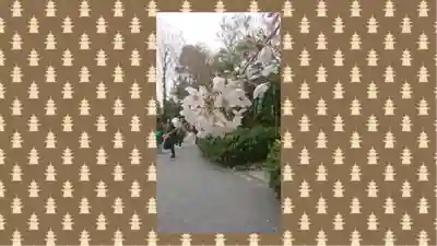 阿佐ヶ谷神明宮(東京都)