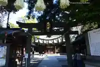 川越氷川神社(埼玉県)