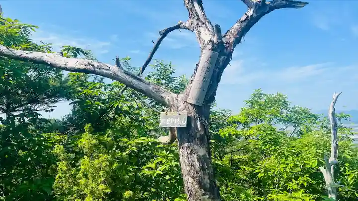 阿賀神社(滋賀県)