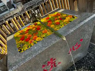 高円寺氷川神社の{uncategorized: "未分類", other: "その他", undefined: "問題あり", building: "その他建物", grave: "お墓", sacred_gate: "鳥居", guardian: "狛犬", statue: "像", buddha: "仏像", history: "歴史", nature: "自然", garden: "庭園", animal: "動物", pagoda: "塔", temizu: "手水舎", mountain_gate: "山門・神門", sanctuary: "本殿・本堂", subordinate: "末社・摂社", art: "芸術", scenery: "景色", jizo: "地蔵", ema: "絵馬", goshuin: "御朱印", omikuji: "おみくじ", items: "授与品その他", amulet: "お守り", goshuincho: "御朱印帳", eats: "食事", festival: "お祭り", votive_dance: "神楽", shichigosan: "七五三参", wedding: "結婚式", experience: "体験その他", initially: "初詣", around: "周辺", anti_infection: "感染症対策"}