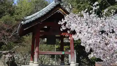 安岡寺(大阪府)