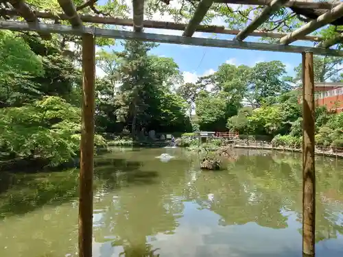 越ヶ谷久伊豆神社の庭園