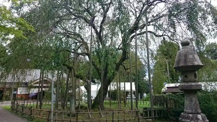 足羽神社の庭園