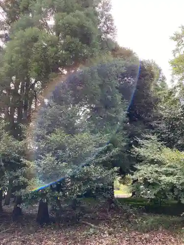 小鴨神社の自然