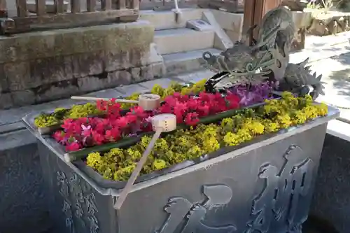 柳谷観音　楊谷寺の手水舎