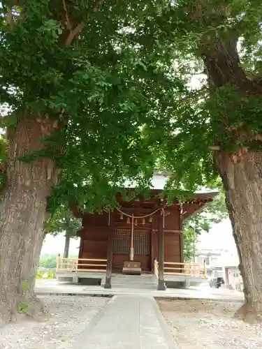近津神社(埼玉県)