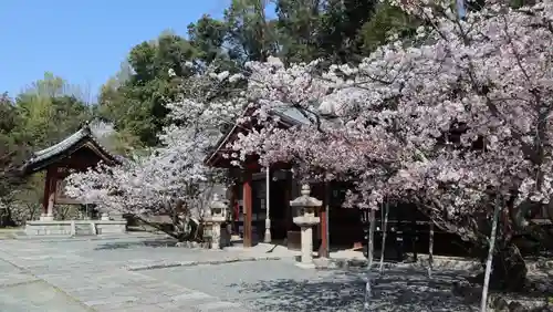 安岡寺(大阪府)