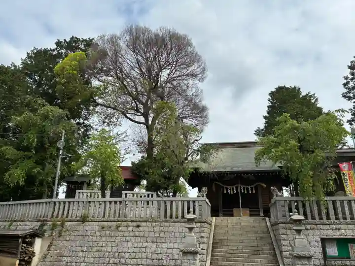 大塚八幡神社の{uncategorized: "未分類", other: "その他", undefined: "問題あり", building: "その他建物", grave: "お墓", sacred_gate: "鳥居", guardian: "狛犬", statue: "像", buddha: "仏像", history: "歴史", nature: "自然", garden: "庭園", animal: "動物", pagoda: "塔", temizu: "手水舎", mountain_gate: "山門・神門", sanctuary: "本殿・本堂", subordinate: "末社・摂社", art: "芸術", scenery: "景色", jizo: "地蔵", ema: "絵馬", goshuin: "御朱印", omikuji: "おみくじ", items: "授与品その他", amulet: "お守り", goshuincho: "御朱印帳", eats: "食事", festival: "お祭り", votive_dance: "神楽", shichigosan: "七五三参", wedding: "結婚式", experience: "体験その他", initially: "初詣", around: "周辺", anti_infection: "感染症対策"}