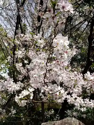 月窓寺(東京都)