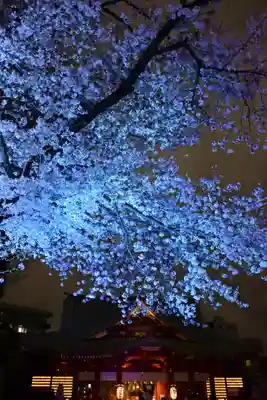 神田神社（神田明神）(東京都)