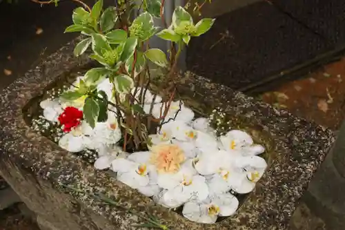 野見神社(大阪府)