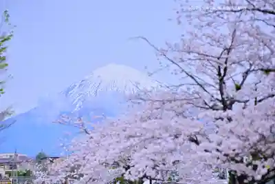 富士山本宮浅間大社(静岡県)