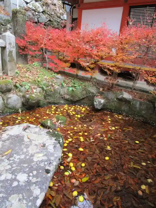 談山神社(奈良県)