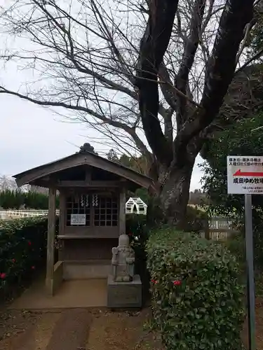 成田ゆめ牧場　福禄寿(千葉県)