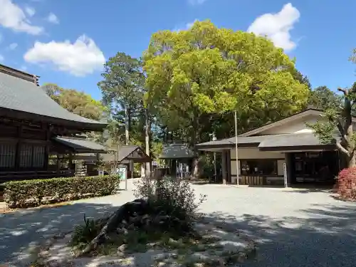 井伊谷宮の{uncategorized: "未分類", other: "その他", undefined: "問題あり", building: "その他建物", grave: "お墓", sacred_gate: "鳥居", guardian: "狛犬", statue: "像", buddha: "仏像", history: "歴史", nature: "自然", garden: "庭園", animal: "動物", pagoda: "塔", temizu: "手水舎", mountain_gate: "山門・神門", sanctuary: "本殿・本堂", subordinate: "末社・摂社", art: "芸術", scenery: "景色", jizo: "地蔵", ema: "絵馬", goshuin: "御朱印", omikuji: "おみくじ", items: "授与品その他", amulet: "お守り", goshuincho: "御朱印帳", eats: "食事", festival: "お祭り", votive_dance: "神楽", shichigosan: "七五三参", wedding: "結婚式", experience: "体験その他", initially: "初詣", around: "周辺", anti_infection: "感染症対策"}
