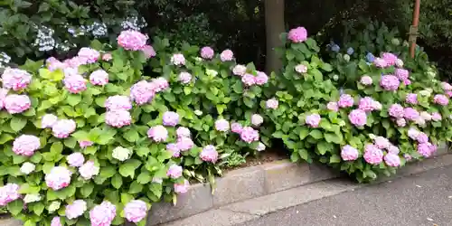 金ヶ作熊野神社の自然