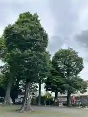 有鹿神社(神奈川県)