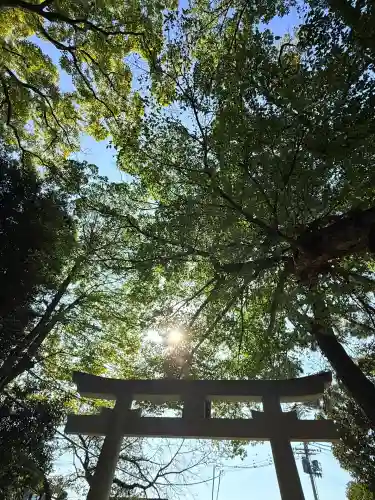 弓弦羽神社(兵庫県)