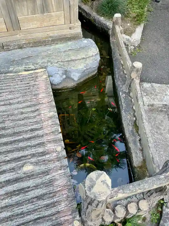 下落合弁財天の{uncategorized: "未分類", other: "その他", undefined: "問題あり", building: "その他建物", grave: "お墓", sacred_gate: "鳥居", guardian: "狛犬", statue: "像", buddha: "仏像", history: "歴史", nature: "自然", garden: "庭園", animal: "動物", pagoda: "塔", temizu: "手水舎", mountain_gate: "山門・神門", sanctuary: "本殿・本堂", subordinate: "末社・摂社", art: "芸術", scenery: "景色", jizo: "地蔵", ema: "絵馬", goshuin: "御朱印", omikuji: "おみくじ", items: "授与品その他", amulet: "お守り", goshuincho: "御朱印帳", eats: "食事", festival: "お祭り", votive_dance: "神楽", shichigosan: "七五三参", wedding: "結婚式", experience: "体験その他", initially: "初詣", around: "周辺", anti_infection: "感染症対策"}