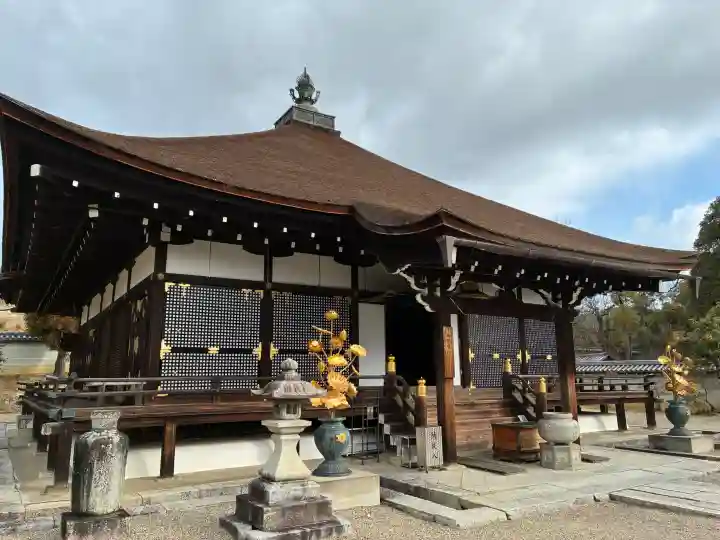 仁和寺の{uncategorized: "未分類", other: "その他", undefined: "問題あり", building: "その他建物", grave: "お墓", sacred_gate: "鳥居", guardian: "狛犬", statue: "像", buddha: "仏像", history: "歴史", nature: "自然", garden: "庭園", animal: "動物", pagoda: "塔", temizu: "手水舎", mountain_gate: "山門・神門", sanctuary: "本殿・本堂", subordinate: "末社・摂社", art: "芸術", scenery: "景色", jizo: "地蔵", ema: "絵馬", goshuin: "御朱印", omikuji: "おみくじ", items: "授与品その他", amulet: "お守り", goshuincho: "御朱印帳", eats: "食事", festival: "お祭り", votive_dance: "神楽", shichigosan: "七五三参", wedding: "結婚式", experience: "体験その他", initially: "初詣", around: "周辺", anti_infection: "感染症対策"}
