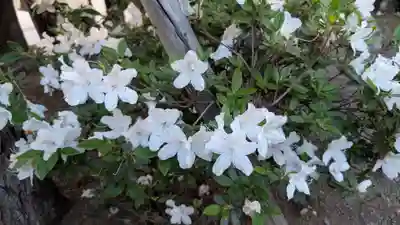 豊川稲荷札幌別院(玉宝禅寺)(北海道)
