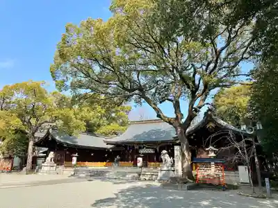 兵庫縣姫路護國神社(兵庫県)