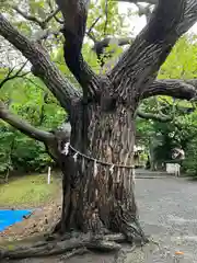 相馬神社(北海道)