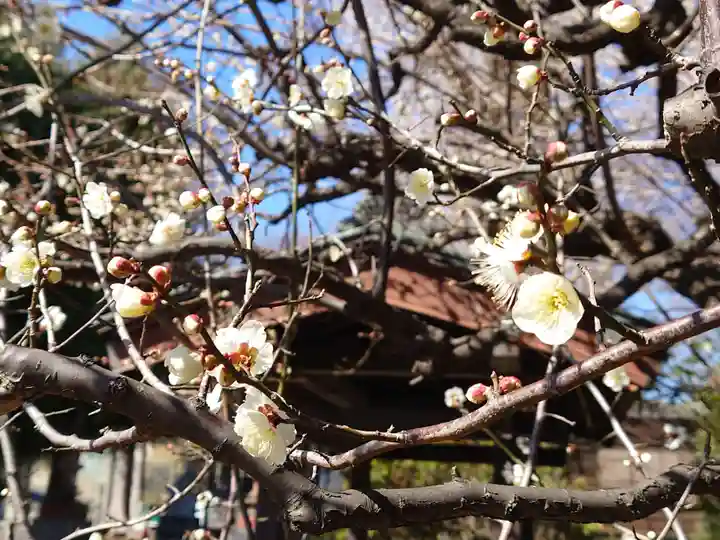 堤方神社の自然