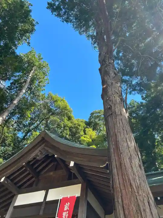 稲荷神社(兵庫県)