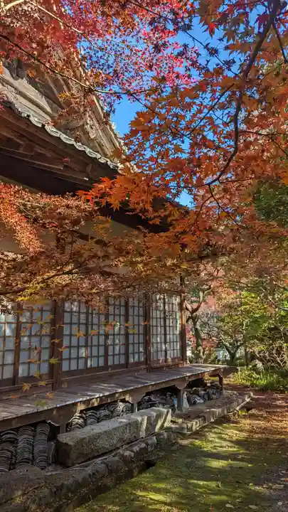 神藏寺(京都府)