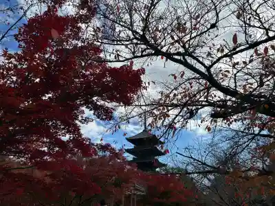 東寺（教王護国寺）(京都府)
