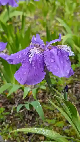 得浄明院（善光寺別院）(京都府)