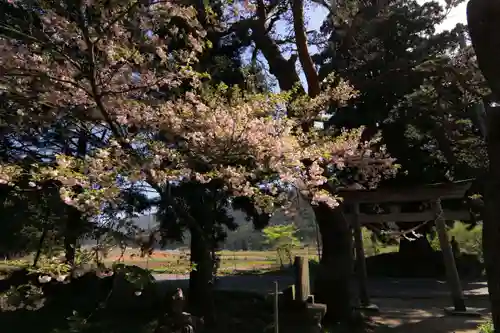 御札神社の景色