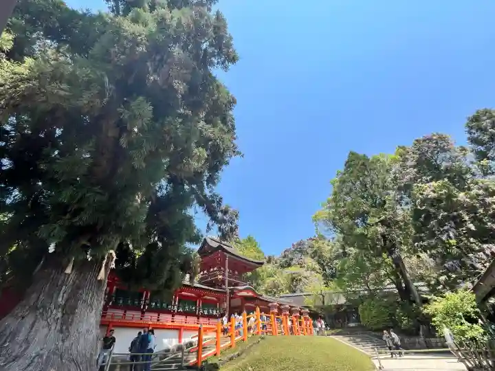 春日大社(奈良県)