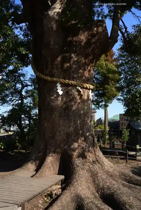 日々神社(神奈川県)